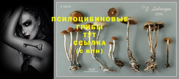 мескалин Магас