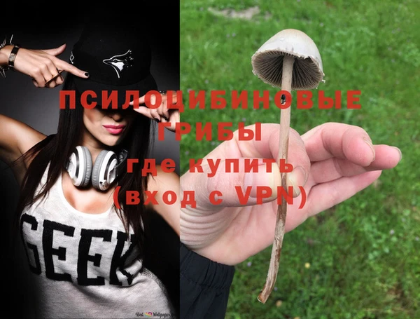 apvp Майский