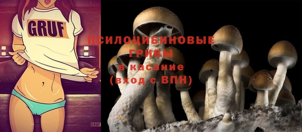 apvp Майский