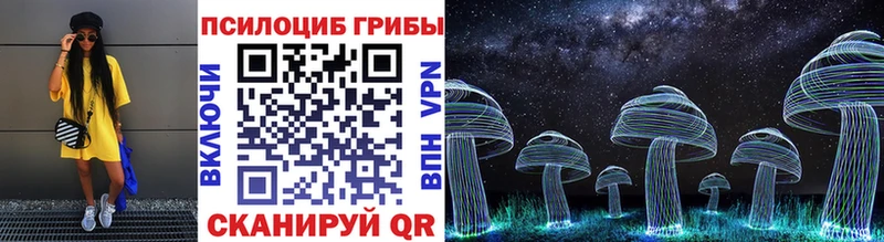 Галлюциногенные грибы Magic Shrooms  blacksprut ссылка  Североморск  продажа наркотиков 