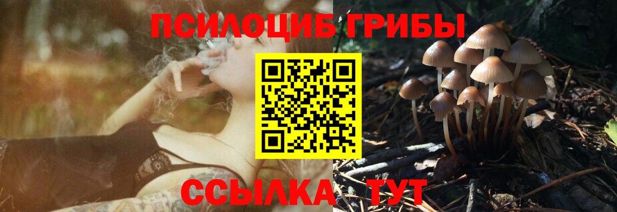 Североморск  Псилоцибиновые грибы мицелий  Вход с VPN 