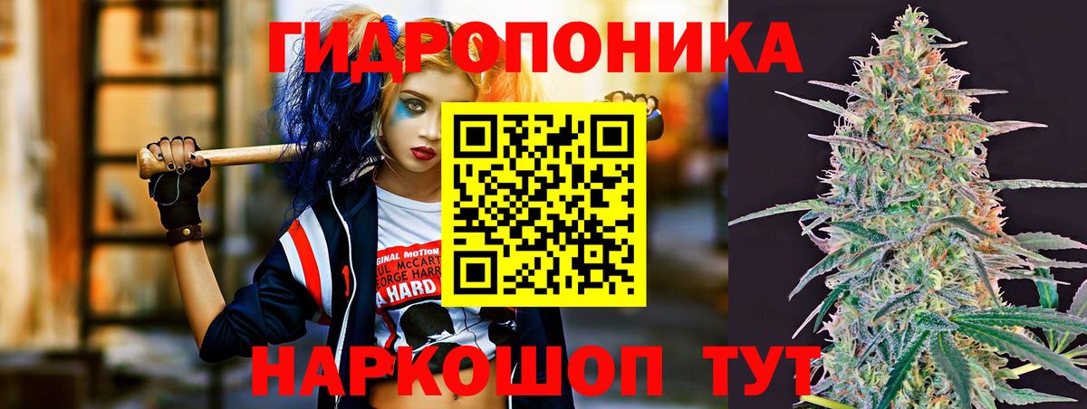 МАРИХУАНА SATIVA & INDICA  Марихуана сатива  Бошки марихуана тримм  Североморск  Конопля семена  Вход с VPN 